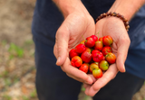 SuperPlants sustainability, compostable supplement packaging, glass vs plastic wellness products, organic sourcing supplements, plant-based packaging, sustainable superfood brands, plastic-free supplements, eco-friendly vitamins