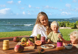 how to stay healthy while traveling, healthy travel tips, staying healthy on vacation, travel wellness tips, healthy snacks for travel, hydration while traveling, daily greens on the go, eatsuperplants travel tips