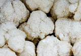 Lion's mane mushroom white cascading icicles in forest, Happy Cacao jar with lion's mane mushroomLion's mane extract powder, Reishi and lion's mane side by side